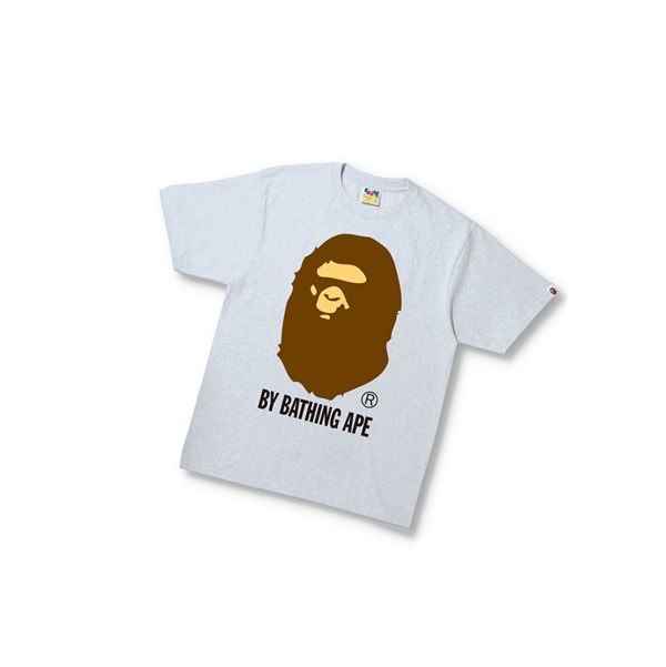 A BATHING APE Bape By Bathing Ape Tee Kurzes Sleeve T-shirts Herren Grau | 561972-LRD